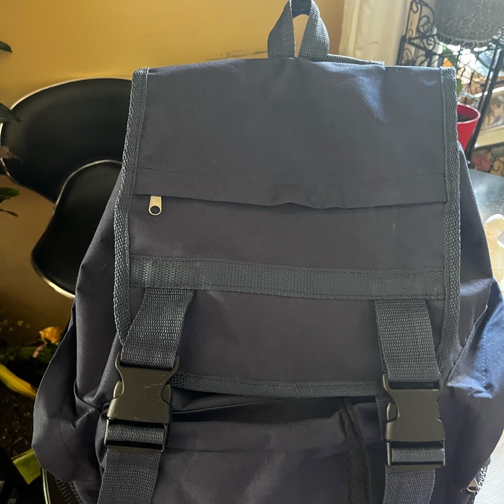 Nice Big Backpack - image 6